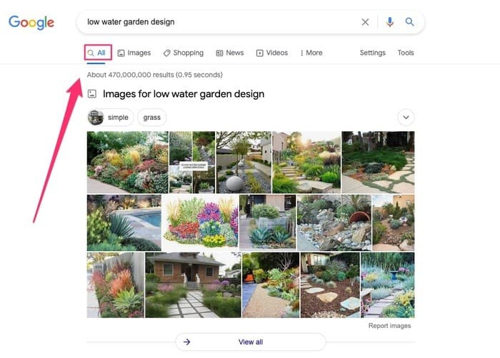 images show up in over 30% of all Google searches